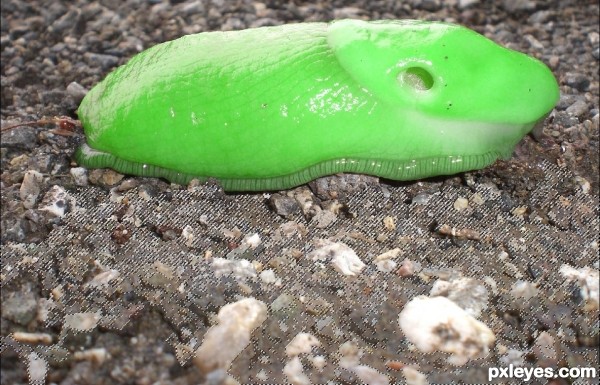 Creation of Mutant slug: Step 3